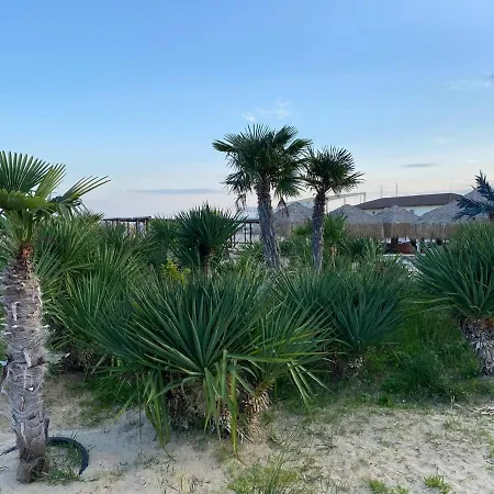 сирена Sveti Vlas