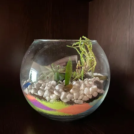 сирена Appartement *