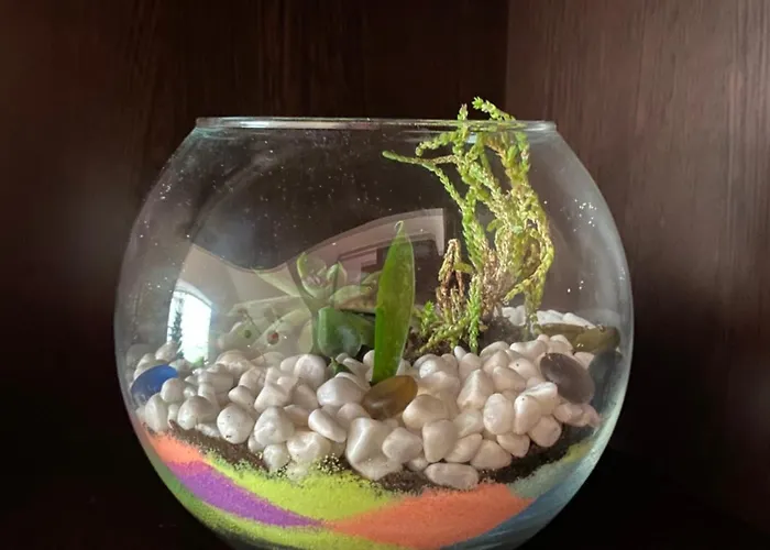 сирена Appartement *